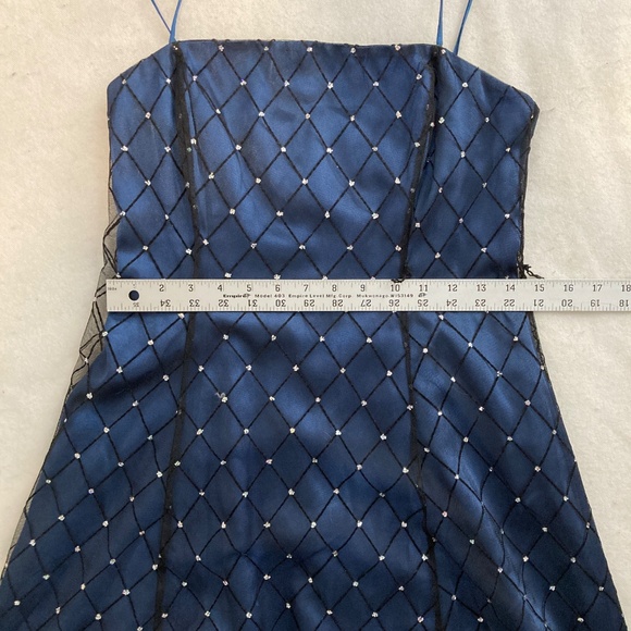 Adrianna Papell  Formal Dress 4P - Picture 6 of 14